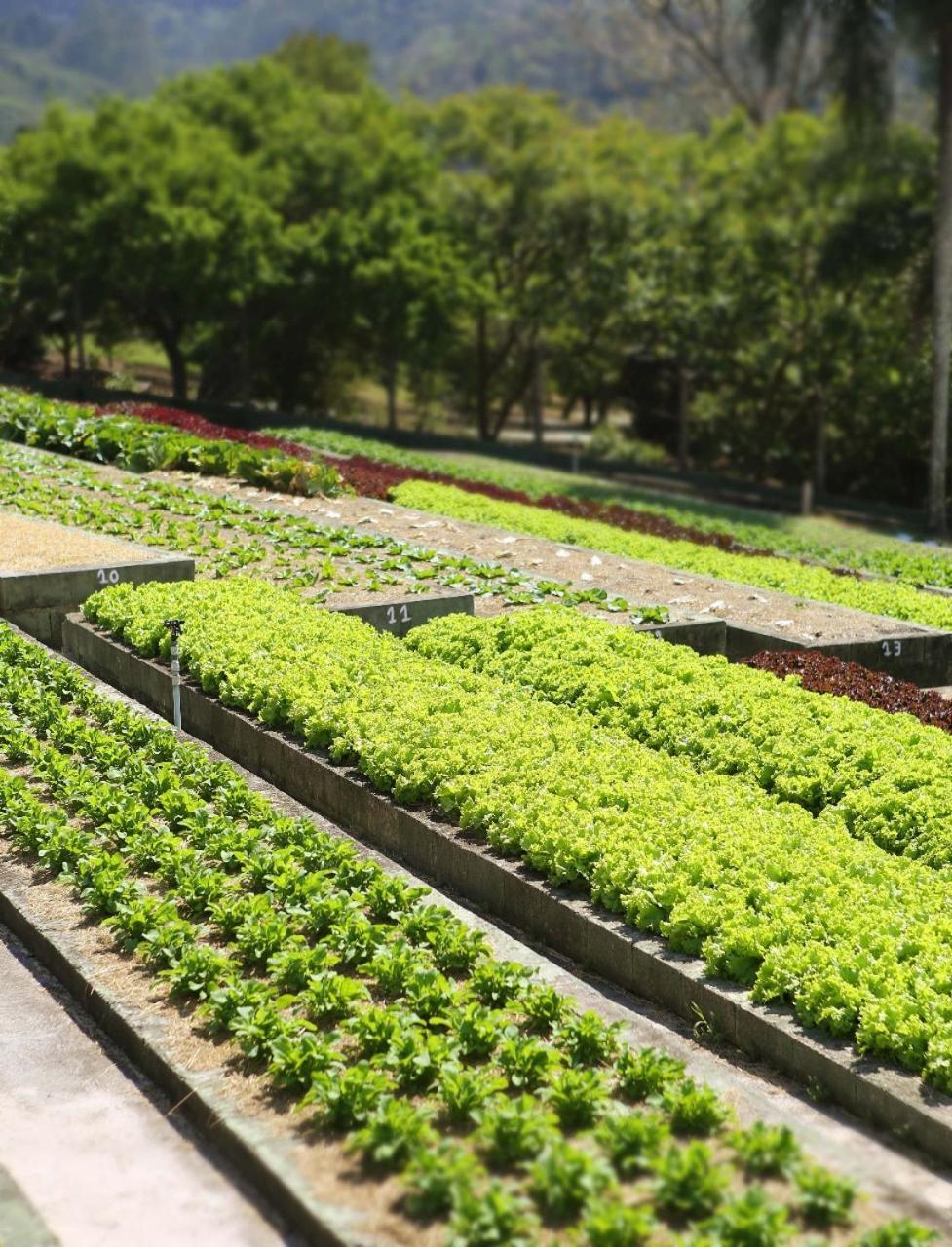Unique Garden Hotel ไมริโปรัง ภายนอก รูปภาพ