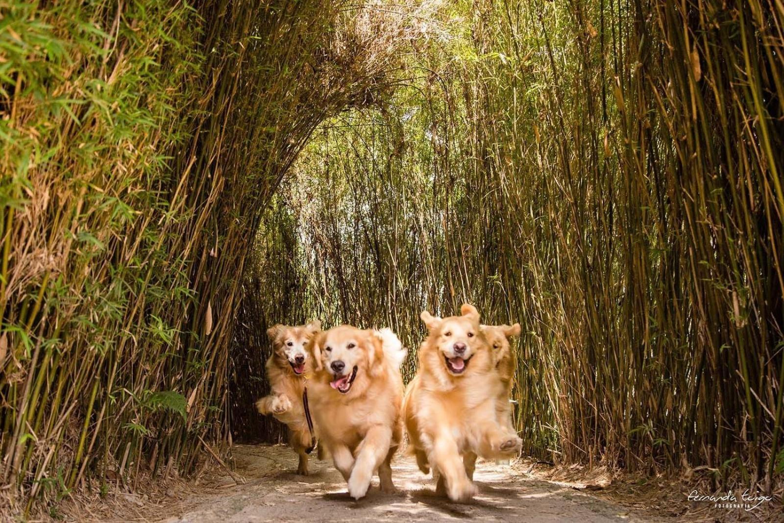 Unique Garden Hotel ไมริโปรัง ภายนอก รูปภาพ